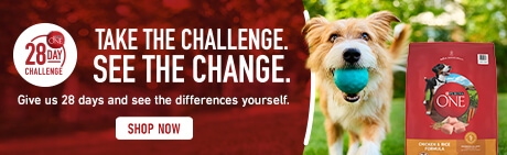Take the challenge, see the change with Purina ONE®. Give us 28 days and see the differences yourself. Shop Now.